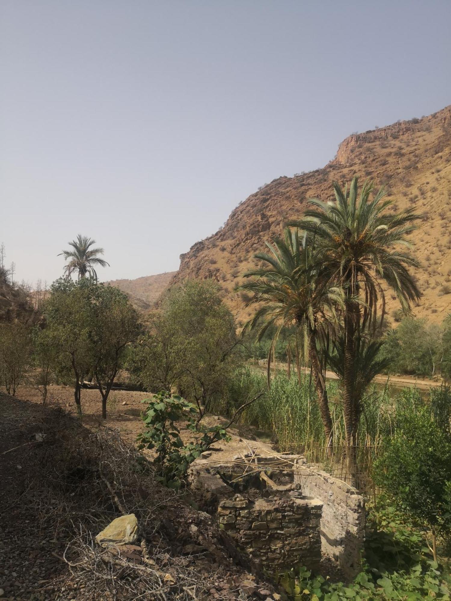 Auberge Kasbah Amoun Hotel Taliouine Eksteriør billede